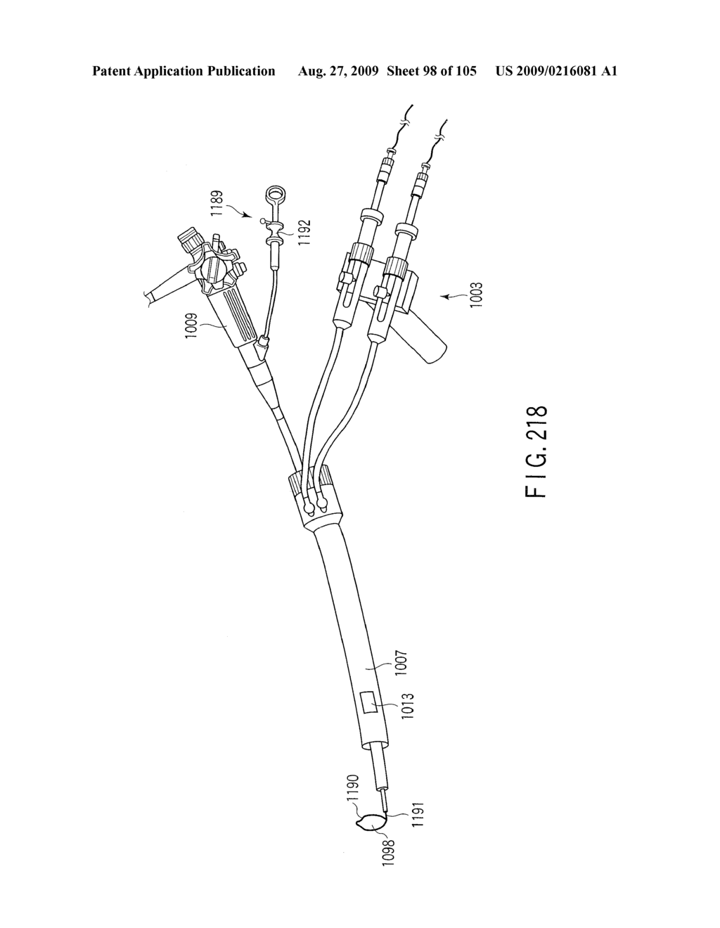 ANASTOMOSIS SYSTEM - diagram, schematic, and image 99