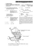 NOVEL METHOD OF USING TRIACETIN AND AUXILIARY AGENT FOR ULTRASONIC DIAGNOSTIC EXAMINATION diagram and image