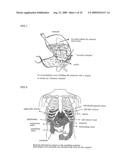 NOVEL METHOD OF USING TRIACETIN AND AUXILIARY AGENT FOR ULTRASONIC DIAGNOSTIC EXAMINATION diagram and image