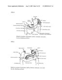 NOVEL METHOD OF USING TRIACETIN AND AUXILIARY AGENT FOR ULTRASONIC DIAGNOSTIC EXAMINATION diagram and image