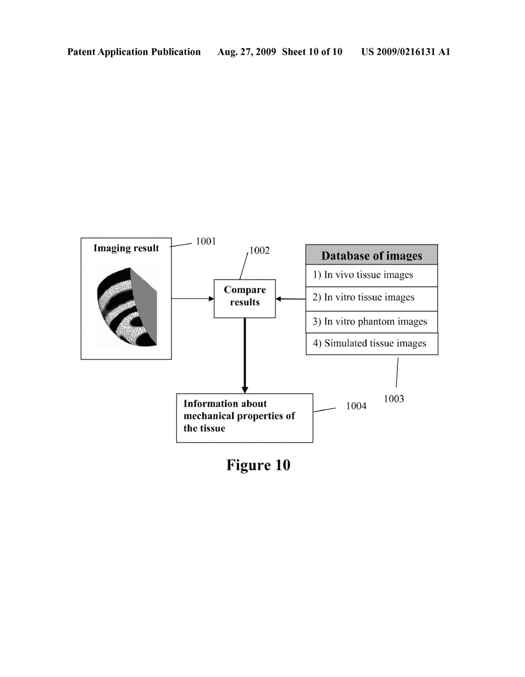 USE OF SURFACE MOTION TO IDENTIFY MECHANICAL PROPERTIES OF BIOLOGICAL TISSUE - diagram, schematic, and image 11