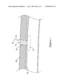 CLOSURE DEVICE WITH RAPIDLY DISSOLVING ANCHOR diagram and image