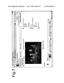 DIGITAL ASSETS INTERNET TIMELINE AGGREGATION AND SHARING PLATFORM diagram and image