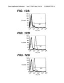 ANTI- INTEGRIN ANTIBODIES, COMPOSITIONS, METHODS AND USES diagram and image