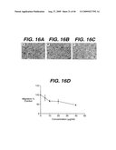 ANTI- INTEGRIN ANTIBODIES, COMPOSITIONS, METHODS AND USES diagram and image