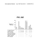 ANTI- INTEGRIN ANTIBODIES, COMPOSITIONS, METHODS AND USES diagram and image