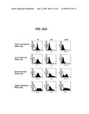 ANTI- INTEGRIN ANTIBODIES, COMPOSITIONS, METHODS AND USES diagram and image