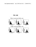 ANTI- INTEGRIN ANTIBODIES, COMPOSITIONS, METHODS AND USES diagram and image