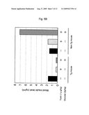 Diabetes Model Animal diagram and image