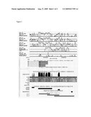 Promoter Mutations that Increase Amyloid Precursor Protein Expression diagram and image