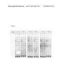 Promoter Mutations that Increase Amyloid Precursor Protein Expression diagram and image