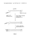 SALT RESPONSIVE GENES USEFUL FOR GENERATING SALT RESISTANT TRANSGENIC PLANTS diagram and image