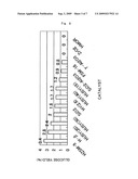 Catalyst for Cellulose Hydrolysis and/or Reduction of Cellulose Hydrolysis Products and Method of Producing Sugar Alcohols From Cellulose diagram and image