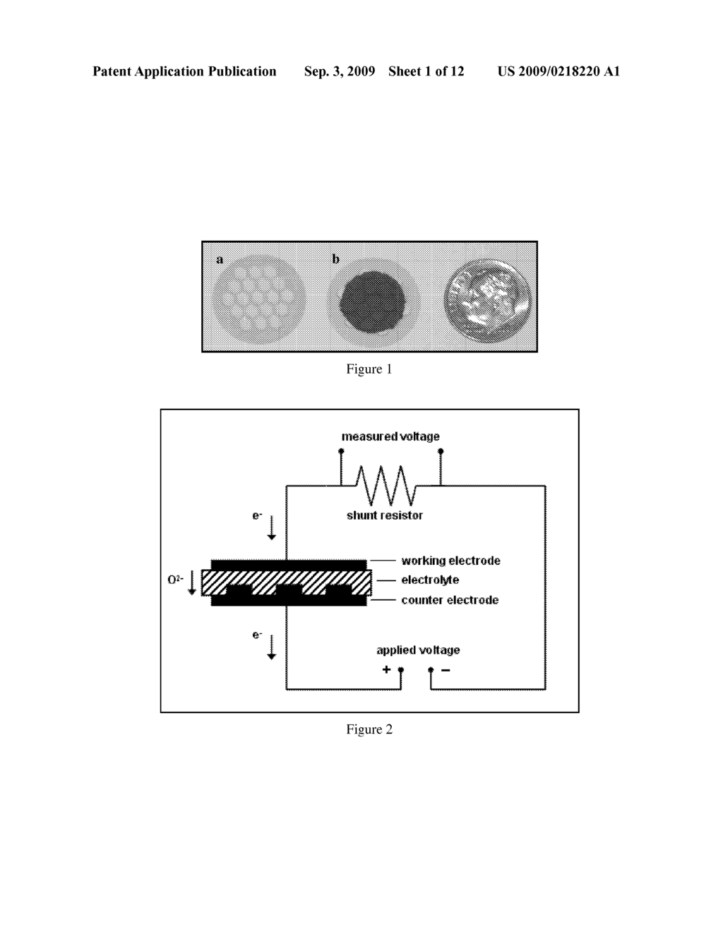 Amperometric Electrochemical Cells and Sensors - diagram, schematic, and image 02