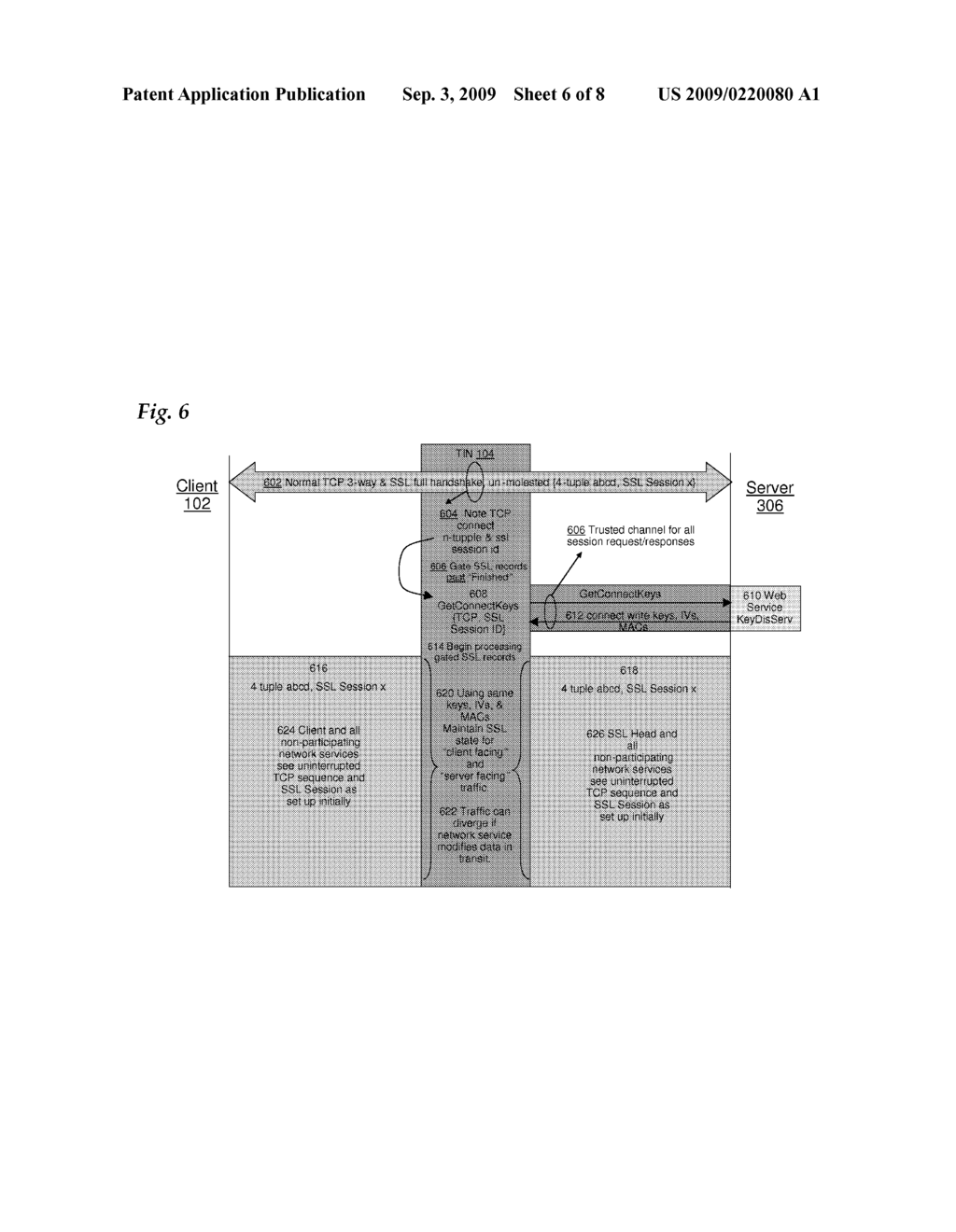 Application-Level Service Access to Encrypted Data Streams - diagram, schematic, and image 07