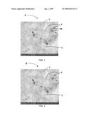 METHOD FOR LOCALIZING LABELS IN A SAMPLE diagram and image