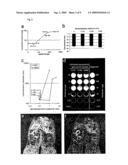 MULTIMODAL IMAGING USING A THREE COMPARTMENT POLYMER NANOPARTICLE WITH CELL SPECIFICITY diagram and image