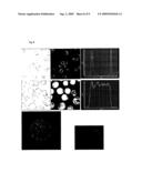 MULTIMODAL IMAGING USING A THREE COMPARTMENT POLYMER NANOPARTICLE WITH CELL SPECIFICITY diagram and image