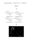 Method Of Producing A Modified (POLY) Peptide diagram and image