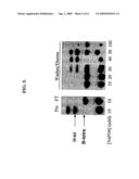 NOVEL A-GALACTOSIDASES diagram and image