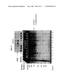 NOVEL A-GALACTOSIDASES diagram and image