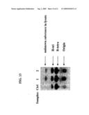 NOVEL A-GALACTOSIDASES diagram and image