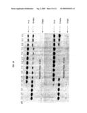 NOVEL A-GALACTOSIDASES diagram and image