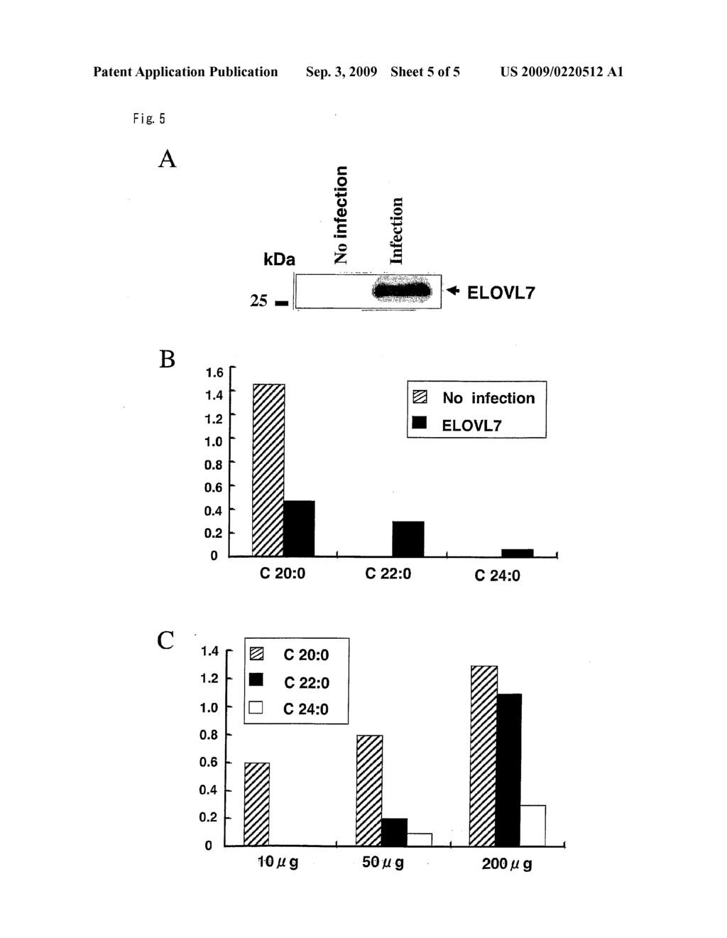 GENES AND POLYPEPTIDES RELATING TO PROSTATE CANCERS - diagram, schematic, and image 06