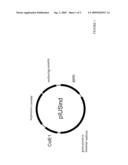 METHOD FOR PRODUCING EPITOMERS AND THEIR USES ON CARRIER MICROORGANISMS diagram and image