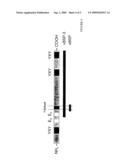 METHOD FOR PRODUCING EPITOMERS AND THEIR USES ON CARRIER MICROORGANISMS diagram and image