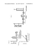 DEFECTIVE RIBOSOMAL PRODUCTS IN BLEBS (DRIBBLES) AND METHODS OF USE TO STIMULATE AN IMMUNE RESPONSE diagram and image