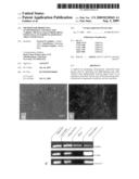 METHOD FOR PRODUCING AUTONOMOUSLY CONTRACTING CARDIAC MUSCLE CELLS FROM ADULT STEM CELLS, IN PARTICULAR HUMAN ADULT STEM CELLS diagram and image