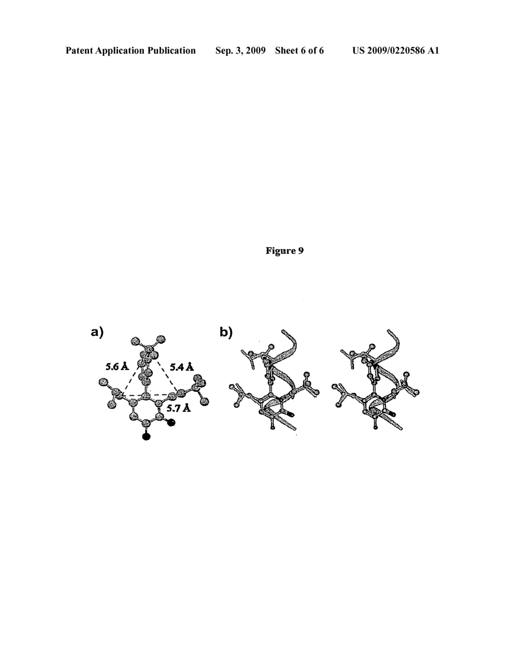 PROTEOMIMETIC COMPOUNDS AS INHIBITORS OF THE INTERACTION OF NUCLEAR RECEPTOR WITH COACTIVATOR PEPTIDES - diagram, schematic, and image 07