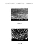 BONE MATRIX COMPOSITIONS HAVING NANOSCALE TEXTURED SURFACES diagram and image