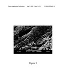 BONE MATRIX COMPOSITIONS HAVING NANOSCALE TEXTURED SURFACES diagram and image