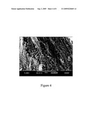 BONE MATRIX COMPOSITIONS HAVING NANOSCALE TEXTURED SURFACES diagram and image