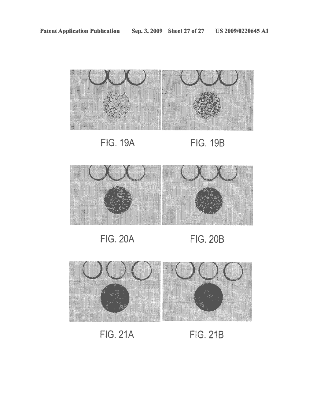 Quality Enhancement of Coffee Beans by Acid and Enzyme Treatment - diagram, schematic, and image 28