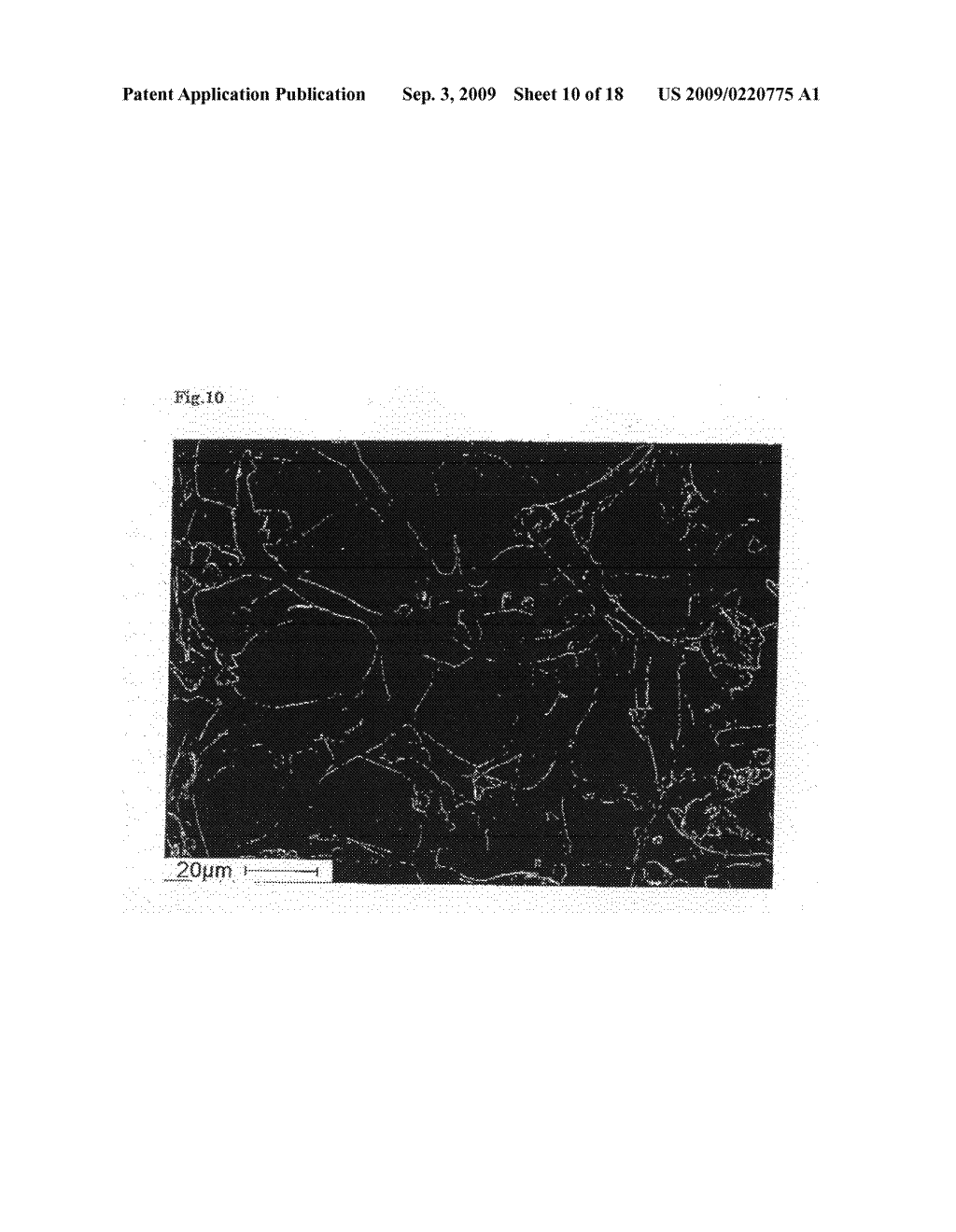 Macroporous Carbon Material and Mesoporous Carbon Material Starting from Wood Material, Method for Producing them, and Porous Metal Carbon Material and Method for Producing it - diagram, schematic, and image 11