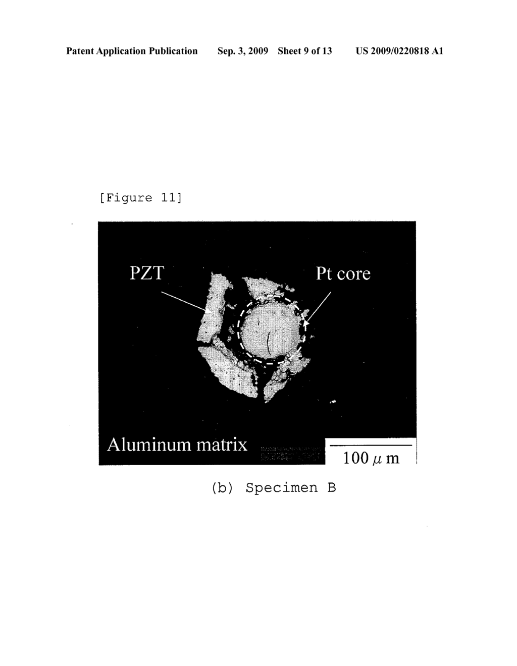 FUNCTIONAL COMPOSITE MATERIAL WHEREIN PIEZOELECTRIC FIBER HAVING METAL CORE IS EMBEDDED - diagram, schematic, and image 10