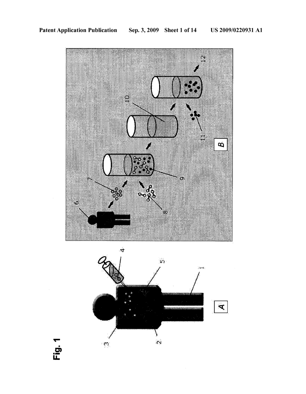 FUNCTIONAL IN VITRO IMMUNOASSAY - diagram, schematic, and image 02