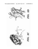 ACTIVATED SPLIT-POLYPEPTIDES AND METHODS FOR THEIR PRODUCTION AND USE diagram and image