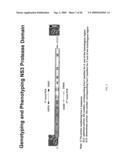 HCV GENOTYPING AND PHENOTYPING diagram and image