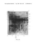 Biomarkers for toxic algae diagram and image