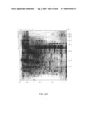 Biomarkers for toxic algae diagram and image