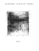 Biomarkers for toxic algae diagram and image