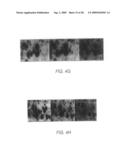 Biomarkers for toxic algae diagram and image