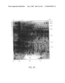 Biomarkers for toxic algae diagram and image