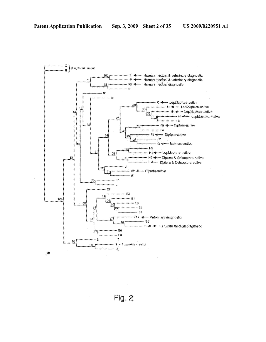 Methods and compositions for classifying bacillus bacteria - diagram, schematic, and image 03