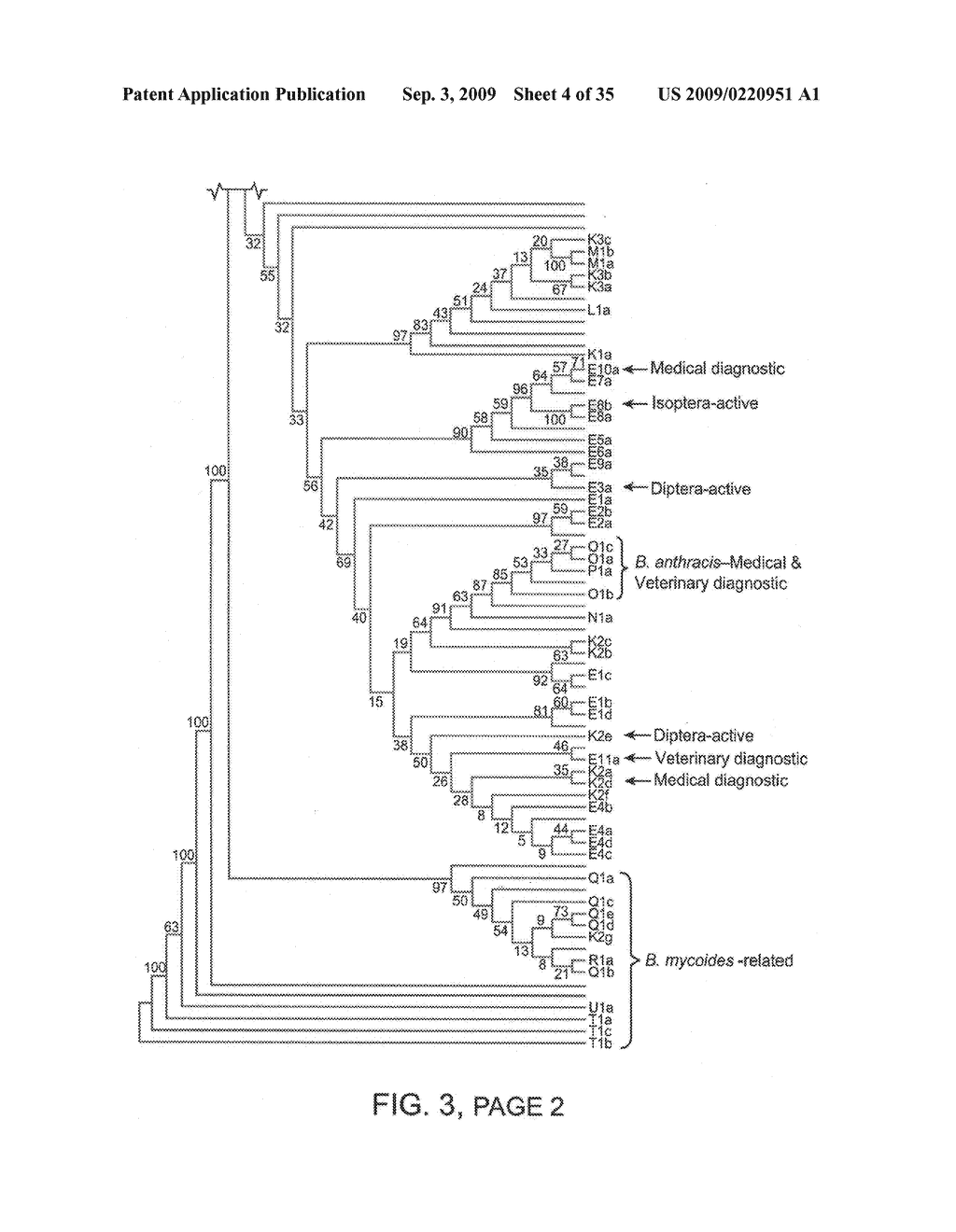 Methods and compositions for classifying bacillus bacteria - diagram, schematic, and image 05