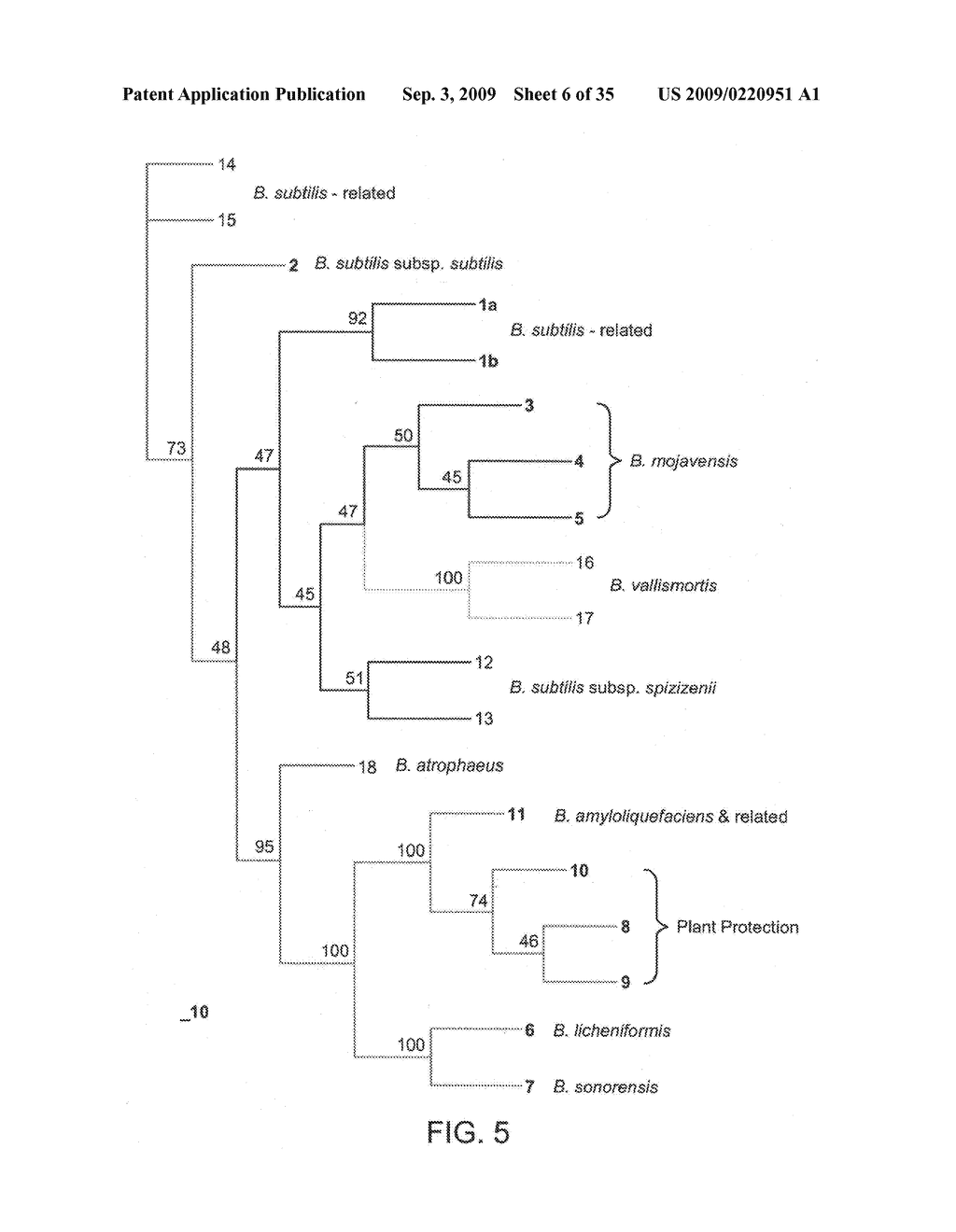 Methods and compositions for classifying bacillus bacteria - diagram, schematic, and image 07